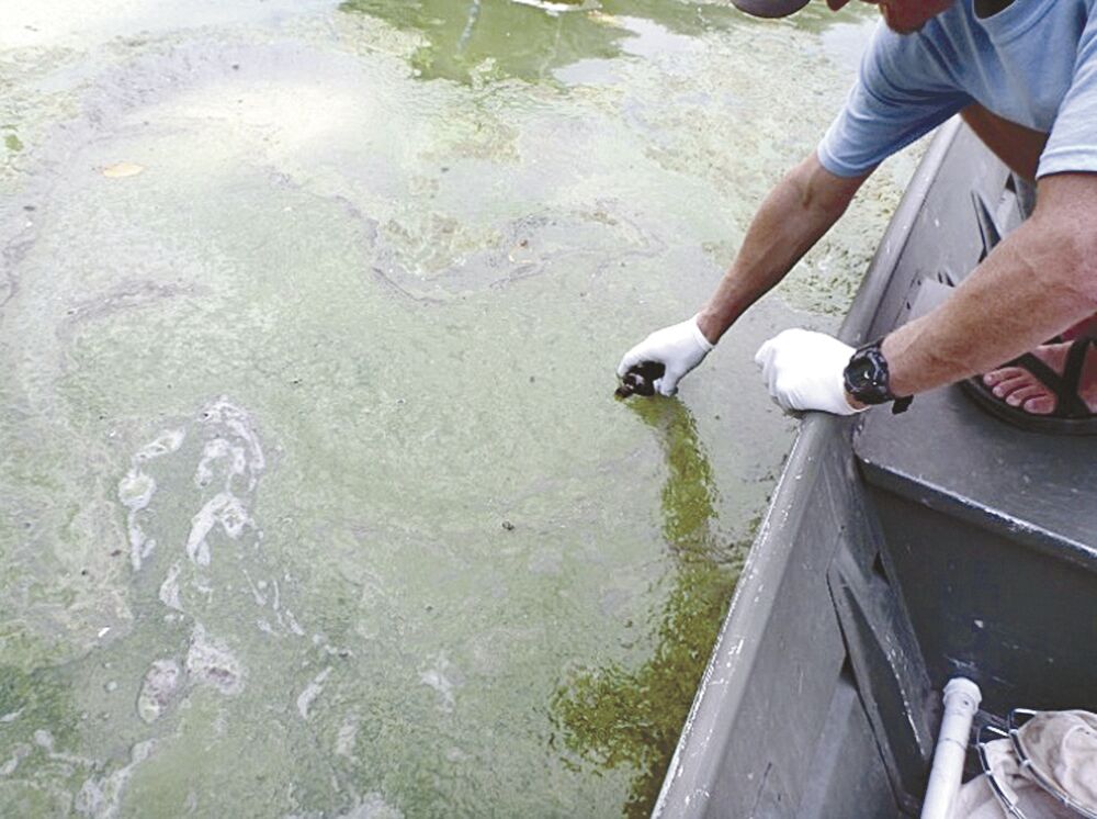 County officials discuss algae blooms in local lakes